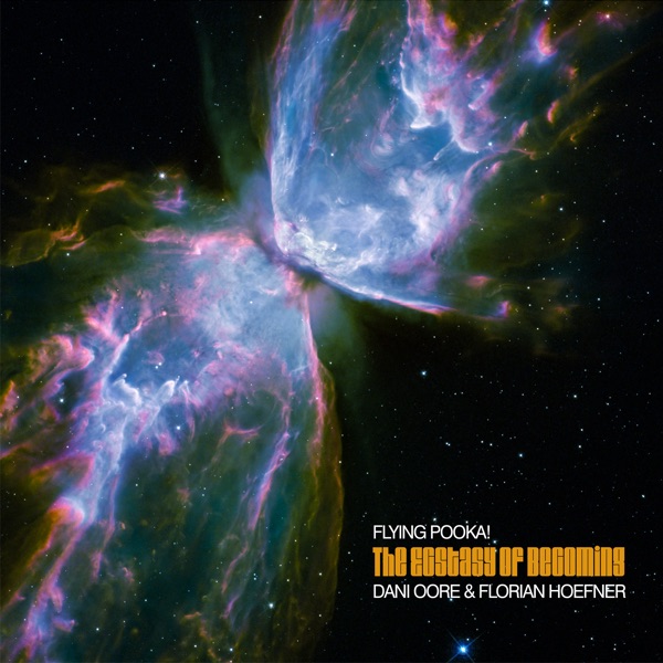 Win a copy of Flying Pooka's The Ecstasy of Becoming - Vimarsana News